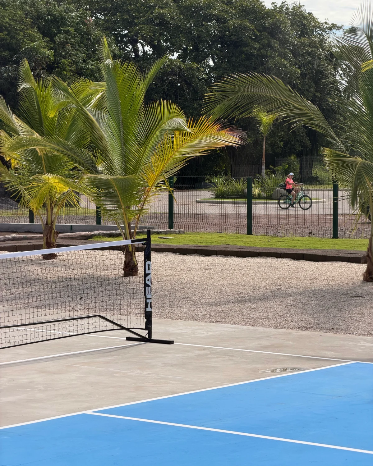 Red de pickleball sobre una cancha azul en Amarena, entre palmeras y un sendero para bicicletas