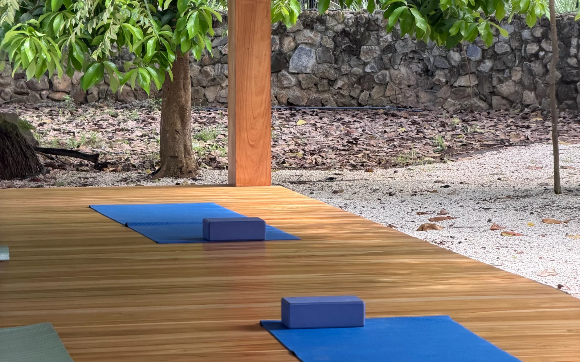 Tapetes y bloques de yoga azules sobre una plataforma de madera, con un muro de piedra y árboles tropicales al fondo