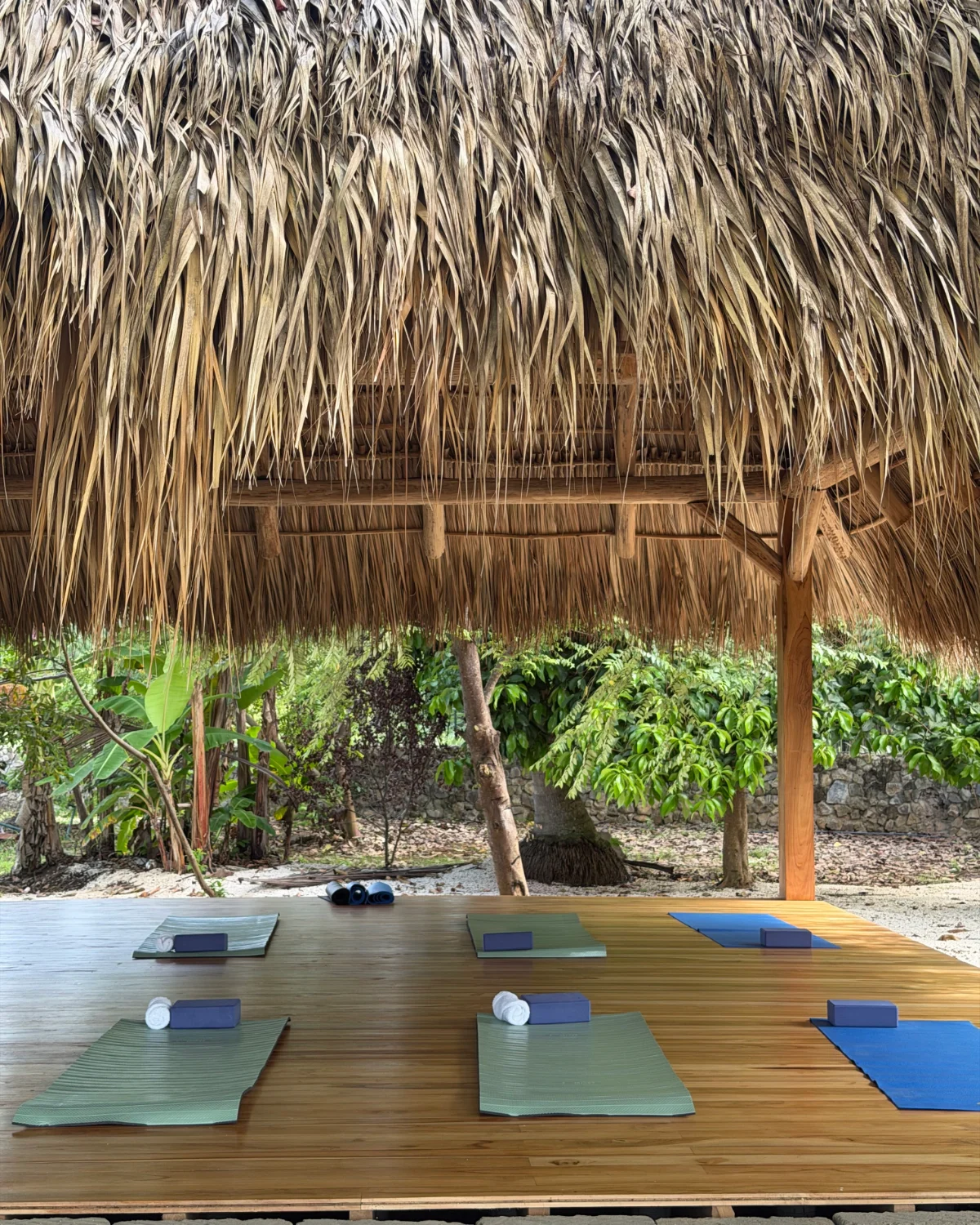 Plataforma de yoga al aire libre bajo una palapa, con tapetes verdes, bloques y toallas entre árboles tropicales
