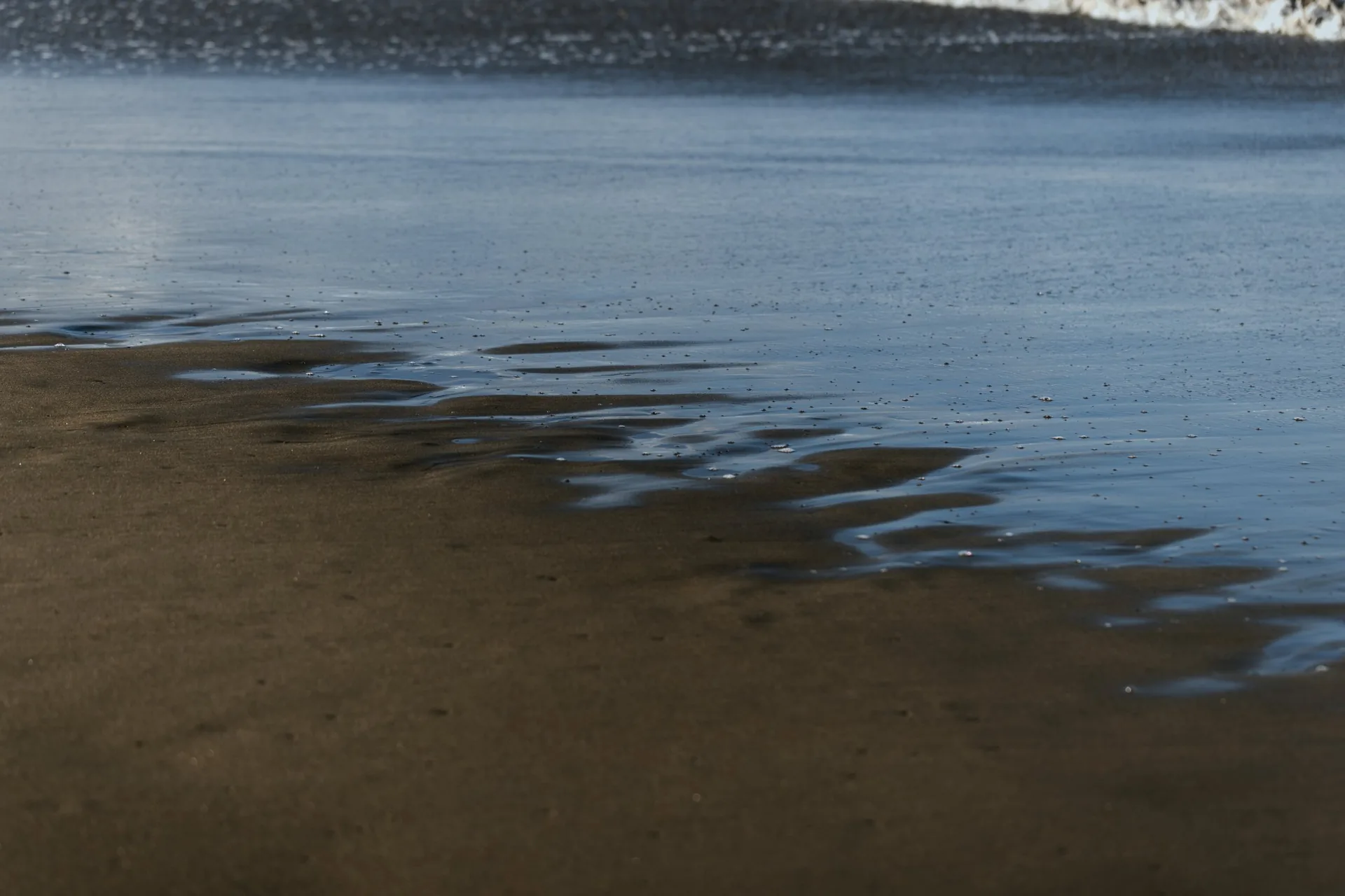 Playa Hermosa Puntarenas dark sand beach at low tide