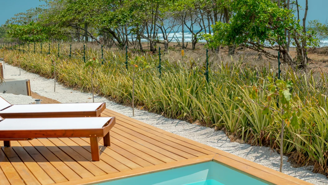 suite_pool_1